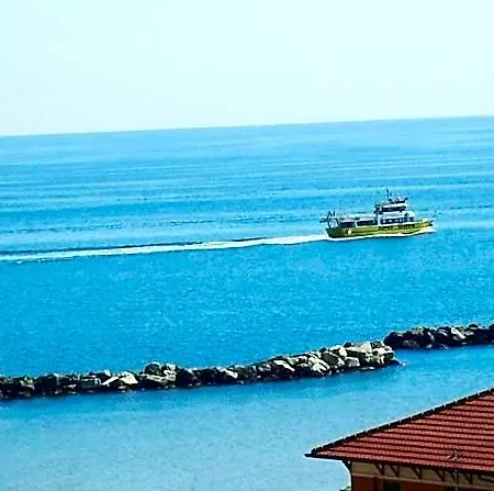 Dell'amarissimo