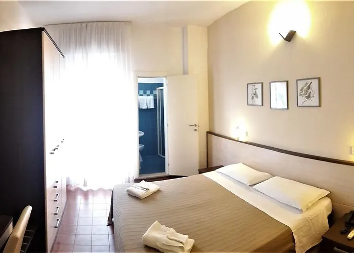 Dell'amarissimo Hotel Bellaria-Igea Marina